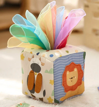 Load image into Gallery viewer, Explorer Tissue Box