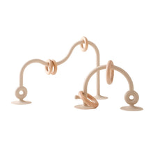 Load image into Gallery viewer, Suction Ring Toy
