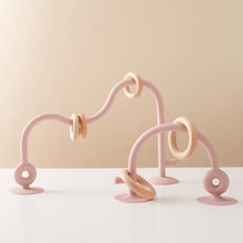 Load image into Gallery viewer, Suction Ring Toy
